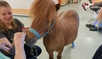 Ponybesuch im ProCurand Pflegestift St.Ulrich in Lam