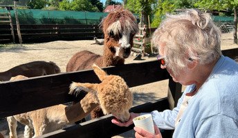 Ausflug der Bewohner*innen der Seniorenresidenz Bölschestraße zum Bauernhof Mümmelmann