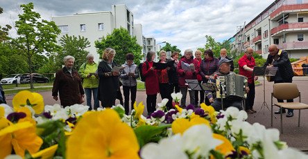 Die Senior*innen der ProCurand Seniorenresidenz Am Hufeisensee musizierten begeistert beim „Gemeinsamen Singen für Jung und Alt“ in Halle-Büschdorf