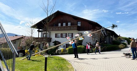 In der ProCurand Pflegestift St. Ulrich halfen das Betreuungsteam und Haustechniker Peter Liebl fleißig beim Aufstellen des Maibaums, unterstützt von den Helfer*innen aus Lam.