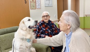Auch die ProCurand Seniorenresidenz Am Straussee wird regelmäßig von Besuchshund Balu und seiner Frauchen Janett Timm bereichert, die gemeinsam Lebensfreude in die Wohnbereiche bringen.