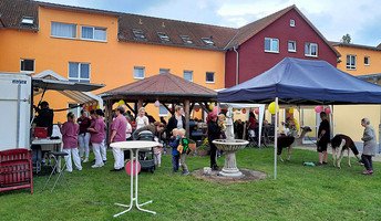 Bunte Sommerstimmung im Garten – Bewohnerinnen und Mitarbeiterinnen genießen gemeinsam das Sommerfest. Dekorationen schmücken die Tische, und neugierige Alpakas streifen friedlich durch die Runde, sorgen für Lachen und Gespräche.