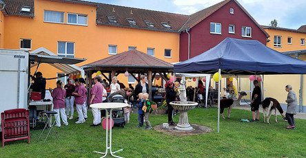 Bunte Sommerstimmung im Garten – Bewohnerinnen und Mitarbeiterinnen genießen gemeinsam das Sommerfest. Dekorationen schmücken die Tische, und neugierige Alpakas streifen friedlich durch die Runde, sorgen für Lachen und Gespräche.