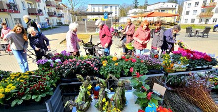 Ein Meer aus Farben: Die mobilen Blumenstände bringen den Frühling direkt zur ProCurand Strausberg Wriezener Straße.