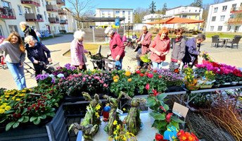 Ein Meer aus Farben: Die mobilen Blumenstände bringen den Frühling direkt zur ProCurand Strausberg Wriezener Straße.