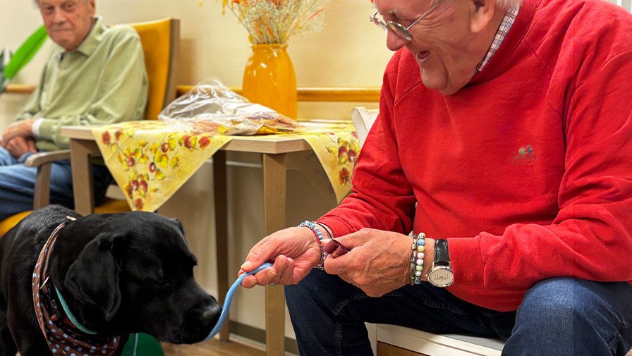 In der ProCurand Seniorenresidenz Bölschestraße füttert ein Bewohner Besuchshund Balu, während ein weiterer Bewohner entspannt am Tisch sitzt und die gemeinsame Zeit genießt.