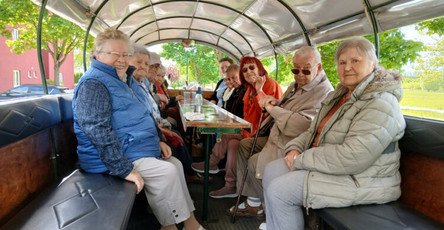 Die Senior*innen der ProCurand Seniorenresidenz Eberswalde sitzen in der Kutsche und genießen die Fahrt bei angenehmer Stimmung und mit lächelnden Gesichtern.
