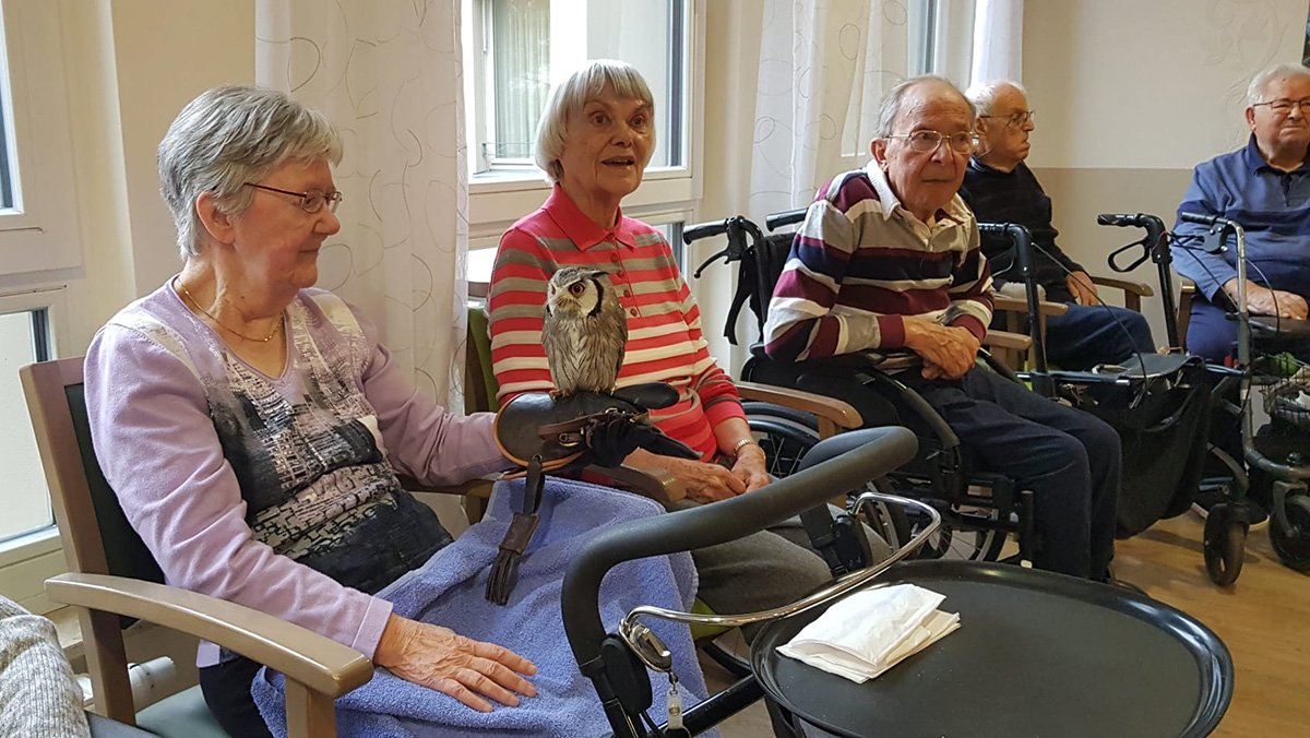 Eine Bewohnerin der ProCurand Seniorenresidenz Bölschestraße hält eine Eule vorsichtig auf dem Arm, während andere Senior*innen die besondere Begegnung interessiert beobachten.
