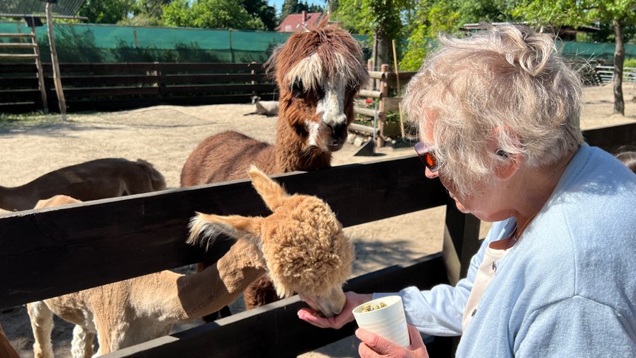 Ausflug der Bewohner*innen der Seniorenresidenz Bölschestraße zum Bauernhof Mümmelmann