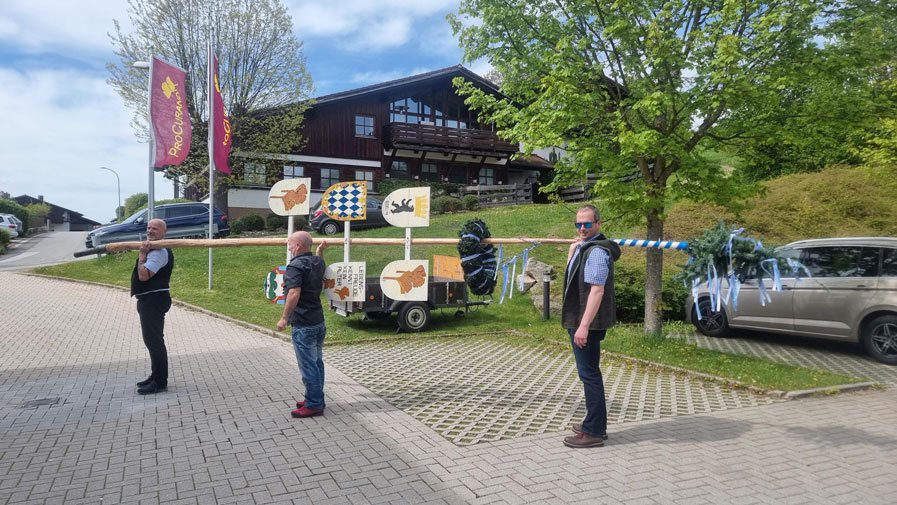 Maibaum wird aufgestellt