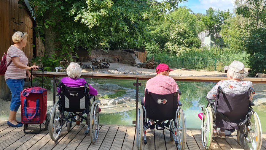 Die Bewohner*innen der ProCurand Seniorenresidenz Am Krökentor schauen sich die verschiedenen Tiere im Magdeburger Zoo an.