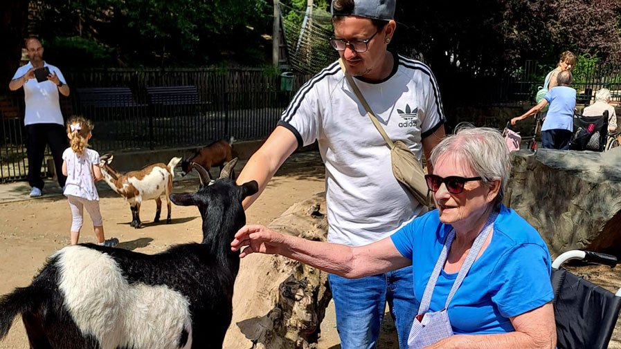 Im Magdeburger Zoo streicheln die Bewohner*innen der ProCurand Seniorenresidenz Am Krökentor die Ziegen.