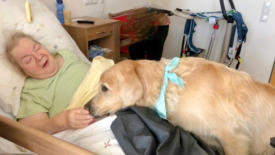 Nähe und Wärme pur – Besuchshund Quinn kuschelt sich im Bett zu einer Bewohnerin der ProCurand Seniorenresidenz Havelpalais.
