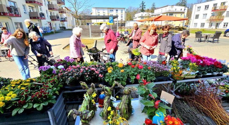 Ein Meer aus Farben: Die mobilen Blumenstände bringen den Frühling direkt zur ProCurand Strausberg Wriezener Straße.
