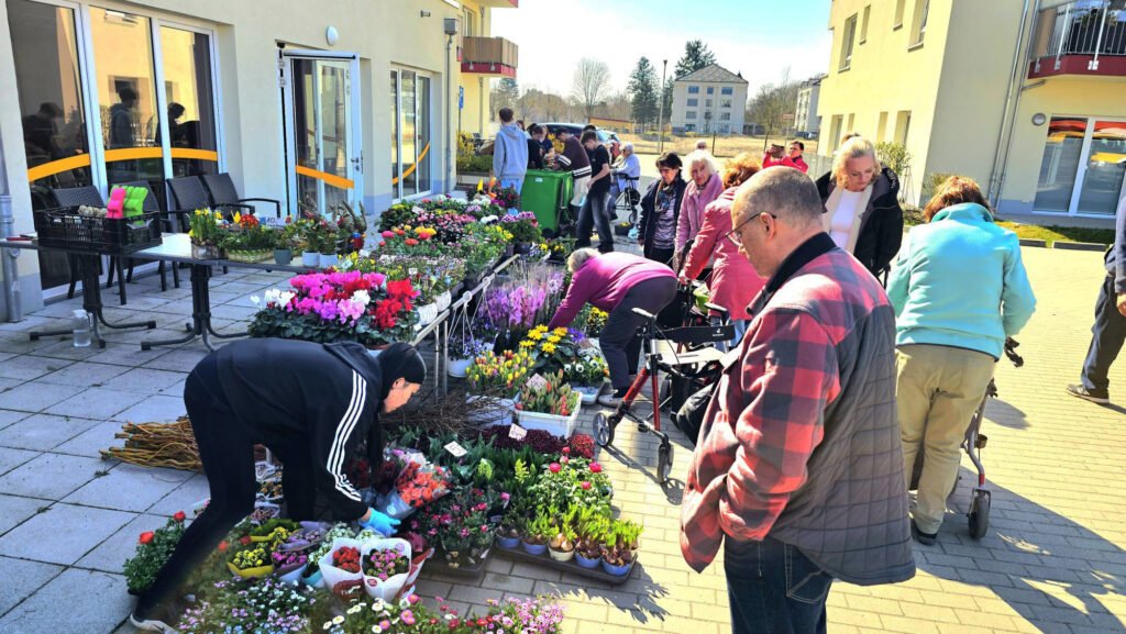 Im Service-Wohnen ProCurand Strausberg, Wriezener Straße, stöbern Bewohner*innen begeistert zwischen bunten Frühblühern.