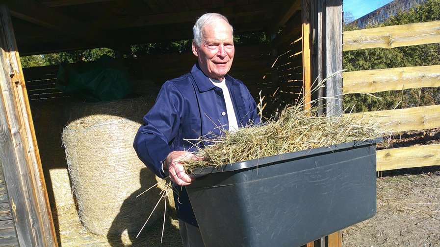 Frank bringt frisches Heu zu den Alpakas Hugo und Eddie in der ProCurand Seniorenresidenz Sanft am See.