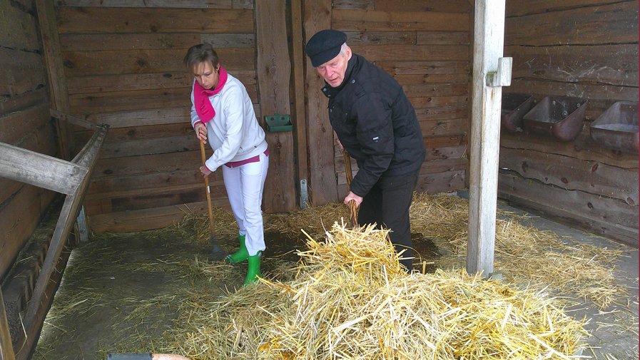 Mit der Mistgabel sorgt Frank regelmäßig für ein sauberes Gehege der beiden Alpakas Hugo und Eddie.
