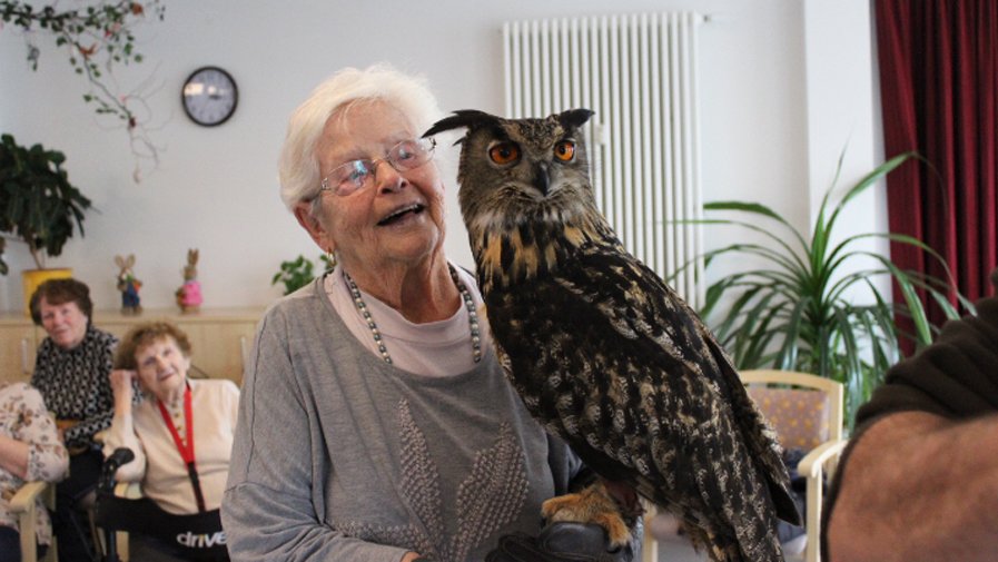 Mieterin der ProCurand Service-Wohnanlage Wriezener Straße beim Besuch des Falkners der Herzen